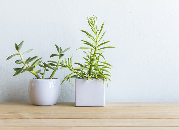 our-offices-image-7 a